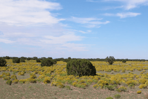 Aerial view of Lot 97 in Arizona Park Estates, Apache County, showcasing a 4.64-acre desert land parcel in Arizona.