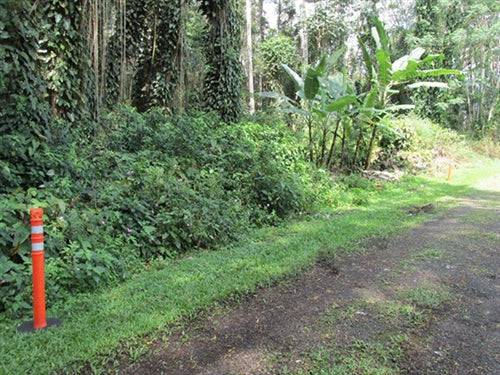 A scenic view of a 1/4 acre lot in Nanawale Estates, Hawaii County, with lush greenery and tropical landscape.