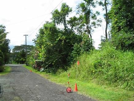 Two adjoining 1/4 acre Nanawale Estates land parcels in Hawaii County with electricity, listed by Onlinelandsales.