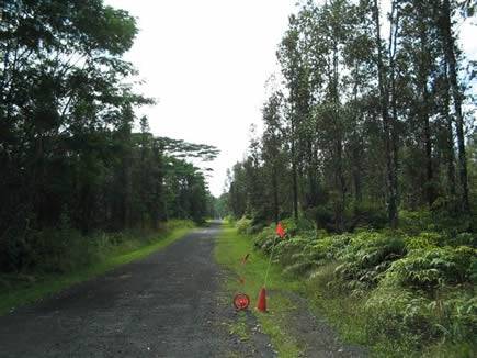 Aerial view of a 1/4 acre lot in Nanawale Estates, Hawaii County, with lush greenery and open land, suitable for development.