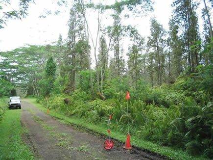 Aerial view of a 1/4 acre lot in Nanawale Estates, Hawaii County, with lush greenery and surrounding tropical landscape.