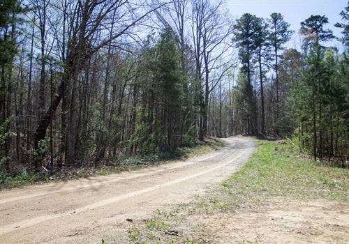 A scenic view of Kentucky Rock Castle County 17.11-acre Chestnut Oak Ridge Lot 6 with a stream on the property.