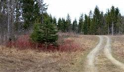 Aerial view of Maine Aroostook County Sunrise Estates Lot 13, 10.94-acre parcel with natural landscape and wooded areas.