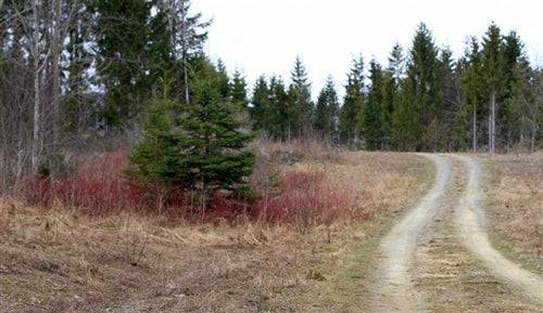 Aerial view of 2.5-acre Sunrise Estates land in Aroostook County, Maine, with visible open terrain and surrounding rural landscape.