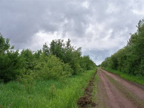 Aerial view of 40-acre land property in Koochiching County, Minnesota, showing wooded and open areas with natural landscape.