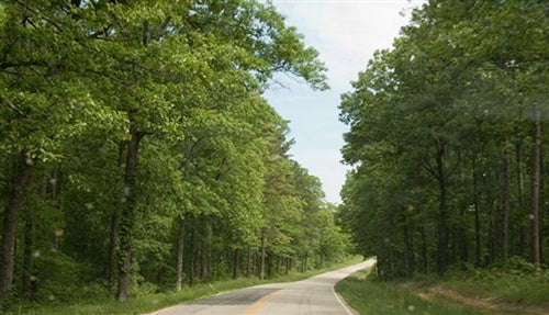 35% OFF: Missouri, Shannon County, 12.84 Acre Blue Sky Ranch. TERMS $185/Month