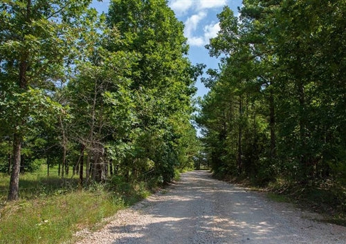 35% OFF: Missouri, Shannon County, 17.29 Acre Borgmann’s Hollow Phase I, Lot 4. TERMS $270/Month