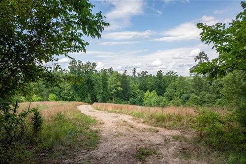 Aerial view of Missouri Reynolds County Cypress Ridge Lot 6, showcasing wooded 5.55-acre property with scenic natural landscape.