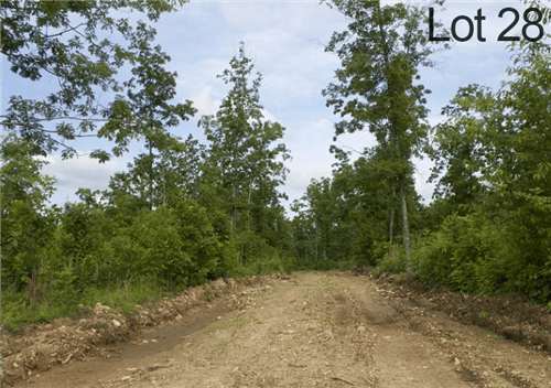 Aerial view of Missouri Thunder Mountain Ranch Lot 28 in Shannon County, featuring wooded terrain and open land on a clear day.