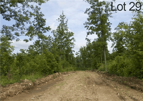 Aerial view of Missouri Thunder Mountain Ranch Lot 29 in Shannon County, showcasing wooded 11.48-acre property with scenic mountain surroundings.