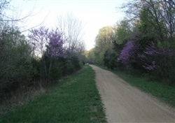 A 0.23-acre Rogue Creek lot in Washington County, Missouri, with natural landscape and trees, sold by Onlinelandsales.