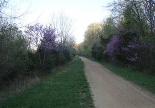 Aerial view of Missouri Washington County Rogue Creek Lot 9, 0.25-acre property with trees and open land.