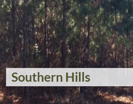 Aerial view of Tishomingo County Southern Hills lots 1-20 in Mississippi, showing wooded 5-8 acre land parcels for sale.