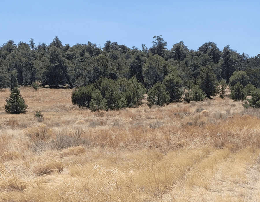 Aerial view of a 3.01-acre property in Cibola County, New Mexico, showing desert terrain and surrounding open land.