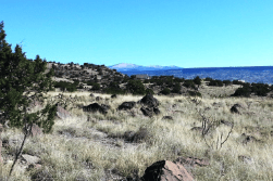 Aerial view of four adjacent land parcels in Cibola County, New Mexico, showing open desert terrain and property boundaries.