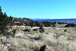 New Mexico, Cibola County, 1.33 Acres Gabaldon, Lots 7-14 (8 Adj Lots). TERMS 50% Off (now) $72/Month