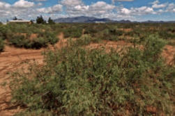 New Mexico, Luna County, 3.84 Acre Apache Hills West half of Lot 11 Block 2. TERMS $145/Month