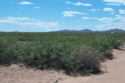 10-acre land in Luna County near Columbus, New Mexico, with detailed parcel boundaries and topography features.