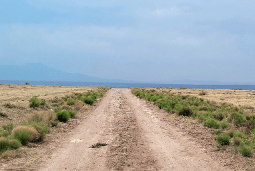 Aerial view of Rio Grande Estates Lot 1, Valencia County, New Mexico, showing undeveloped 0.59-acre property with surrounding land.