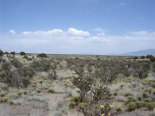 Aerial view of a 4.85-acre Rio Rancho lot in Sandoval County, New Mexico, showing surrounding land and natural landscape.