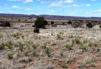 Aerial view of 5.18-acre ranch land in San Miguel County, New Mexico, showing open terrain and surrounding natural landscape.