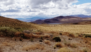 Nevada Churchill County 20.28-acre land near Lake Lahontan Reservoir, showing open terrain and natural landscape in the image.