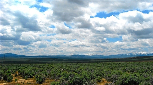 Nevada, Elko County, 2.27 Acres Meadow Valley Ranchos. TERMS $150/Month