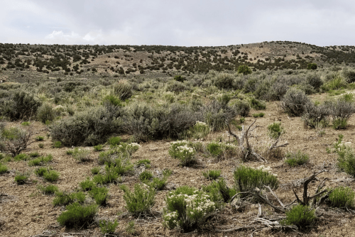 Aerial view of Nevada Elko County Last Chance Ranch Lot 13, 2.27-acre parcel in Unit 1, Block B with open landscape.