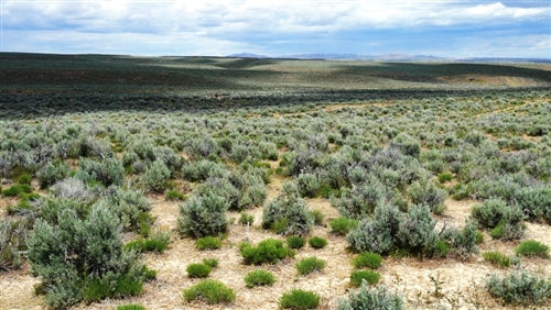Nevada, Elko County, 2.07 Acres Meadow Valley Ranchos, Lot 1 Block 29 Unit 2. TERMS $86/Month