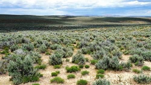Aerial view of Meadow Valley Ranchos, Lot 1, Block 29, Unit 2 in Elko County, Nevada, showing open land and surrounding landscape.