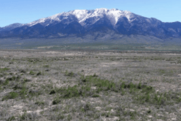 Nevada Elko County Mountain Meadow Ranches Lot 973, 40.02-acre rural land parcel with scenic mountain views