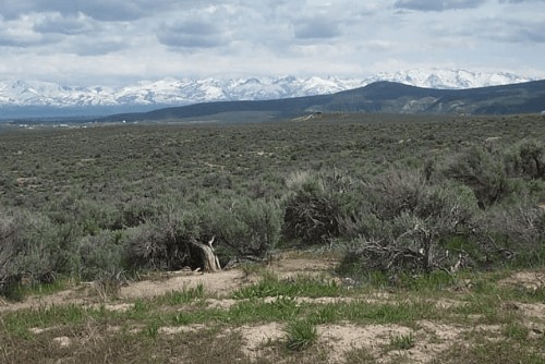 Aerial view of Nevada Elko County Twin River Ranchos Lots 01 & 08 in Elko County, showing undeveloped 4.12-acre land parcels.
