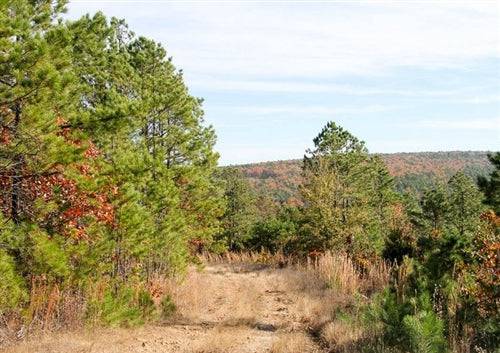20.20-acre Stone Creek Ranch lot in Latimer County, Oklahoma, featuring natural landscape and open terrain.