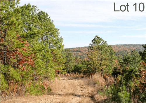 Aerial view of Lot 10 at Stone Creek Ranch in Latimer County, Oklahoma, showing lush greenery and creek on the 14.73-acre property.