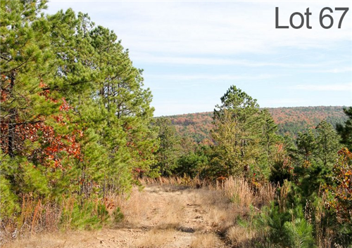 Oklahoma, Latimer County, 21.89 Acre Stone Creek Ranch, Lot 67. TERMS $420/Month
