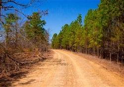 7.02-acre Stone Creek Phase II lot in Latimer County, Oklahoma with a stream, shown in the image for OK_Latimer_StoneCreekII_99200.