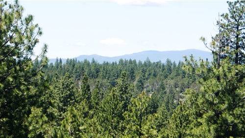 Aerial view of Oregon Klamath County forest land lots 20 and 21, 3.31 acres bundled for sale in Klamath Falls by Onlinelandsales.