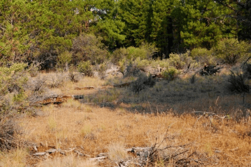 Aerial view of Oregon Klamath County Ferguson Mountain Pines Lot 31 Block 15, showing wooded 2.34-acre property with trees and landscape.