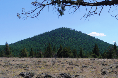 Aerial view of 20-acre Ferguson Mountain Pines property in Klamath County, Oregon, showing dense pine forest landscape.