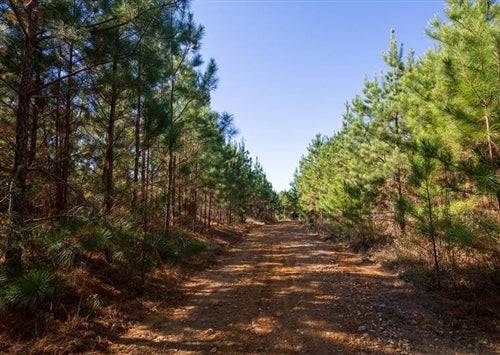 A 6.16-acre pine ridge lot in Decatur County, Tennessee, with visible trees and electrical hookup on the Tennessee Decatur Pine Ridge property.