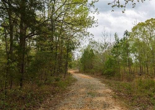 Aerial view of Tennessee Henderson County 5.62-acre Twin Rivers Lot 28, showing wooded land and surrounding natural landscape.