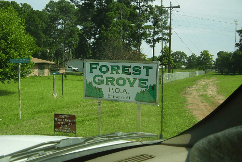 Texas Henderson County 0.35-acre Lake Palestine lots 59 & 60 with forest, lake easement, and electricity by TX_REDRIVER_WISHINGSTAR_10