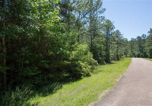 Aerial view of Texas Jasper County Rayburn Country Lot 306, 0.51-acre property with visible lot boundaries and nearby trees.