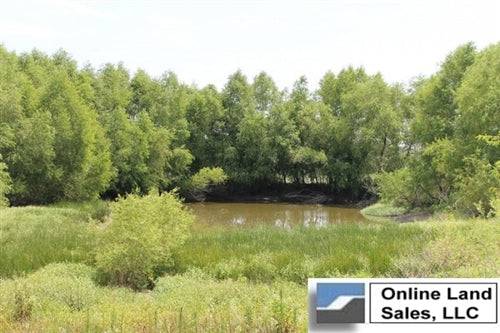 Aerial view of Texas Red River County 8.96-acre McCoy Creek land for sale, with trees and creek visible in the image.