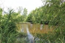 Aerial view of Texas Red River County 8.25-acre McCoy Creek land parcel with trees and creek, offered by Onlinelandsales
