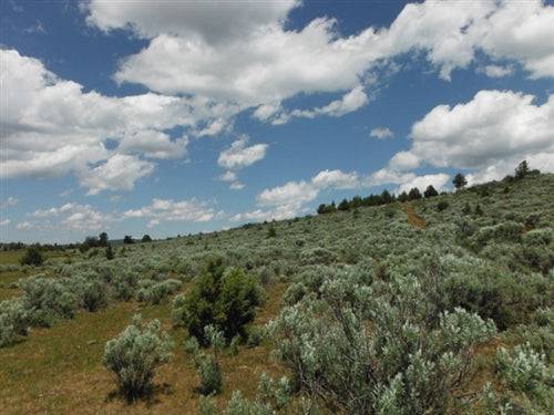 20-acre Moon Valley Ranch land in Lassen County, California, offered by Onlinelandsales, with scenic views and open terrain.