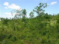 Aerial view of Missouri Shannon County Antler Ridge 22.58-acre property with wooded land and scenic landscape.