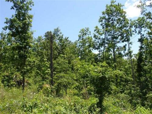 Aerial view of Missouri Shannon County Antler Ridge 24.76-acre land parcel, featuring wooded terrain and open spaces.