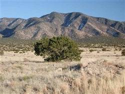 Two .25-acre Rio Del Oro lots in Valencia County, New Mexico, shown in this image with scenic land and natural surroundings.