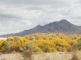 Aerial view of Nevada Humboldt County 40-acre land near Winnemucca, showing open desert landscape and surrounding terrain.